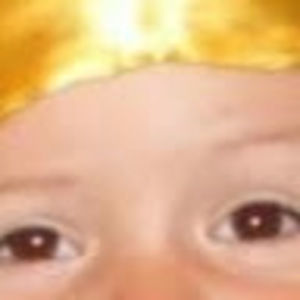 Meet your Posher, Japa